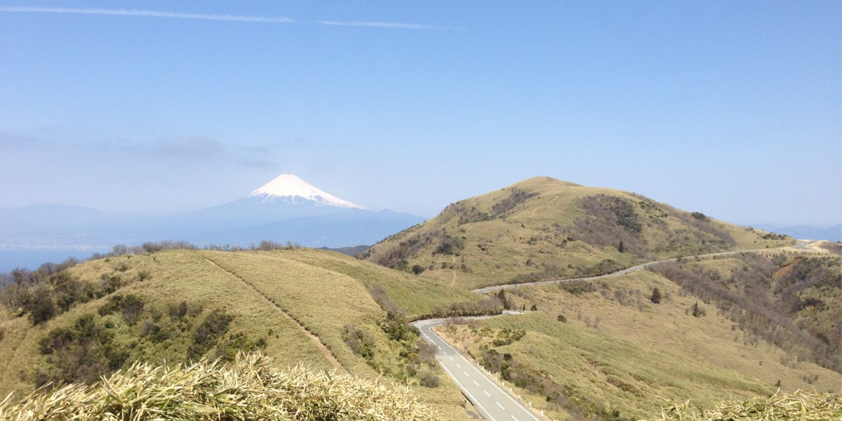 達磨山から富士山