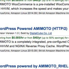 AWSでAMIMOTOのインスタンスを作成する方法