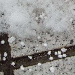 雪の日に撒かれている白いつぶつぶの正体