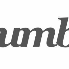 WordPressの自作テーマにGumbyを使う際のheadの記述方法