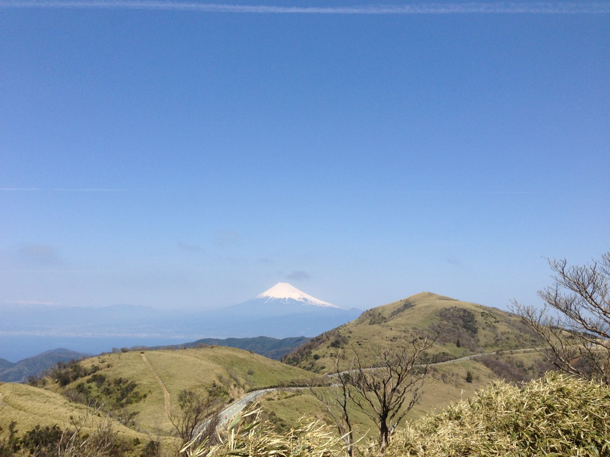 道中見える富士山
