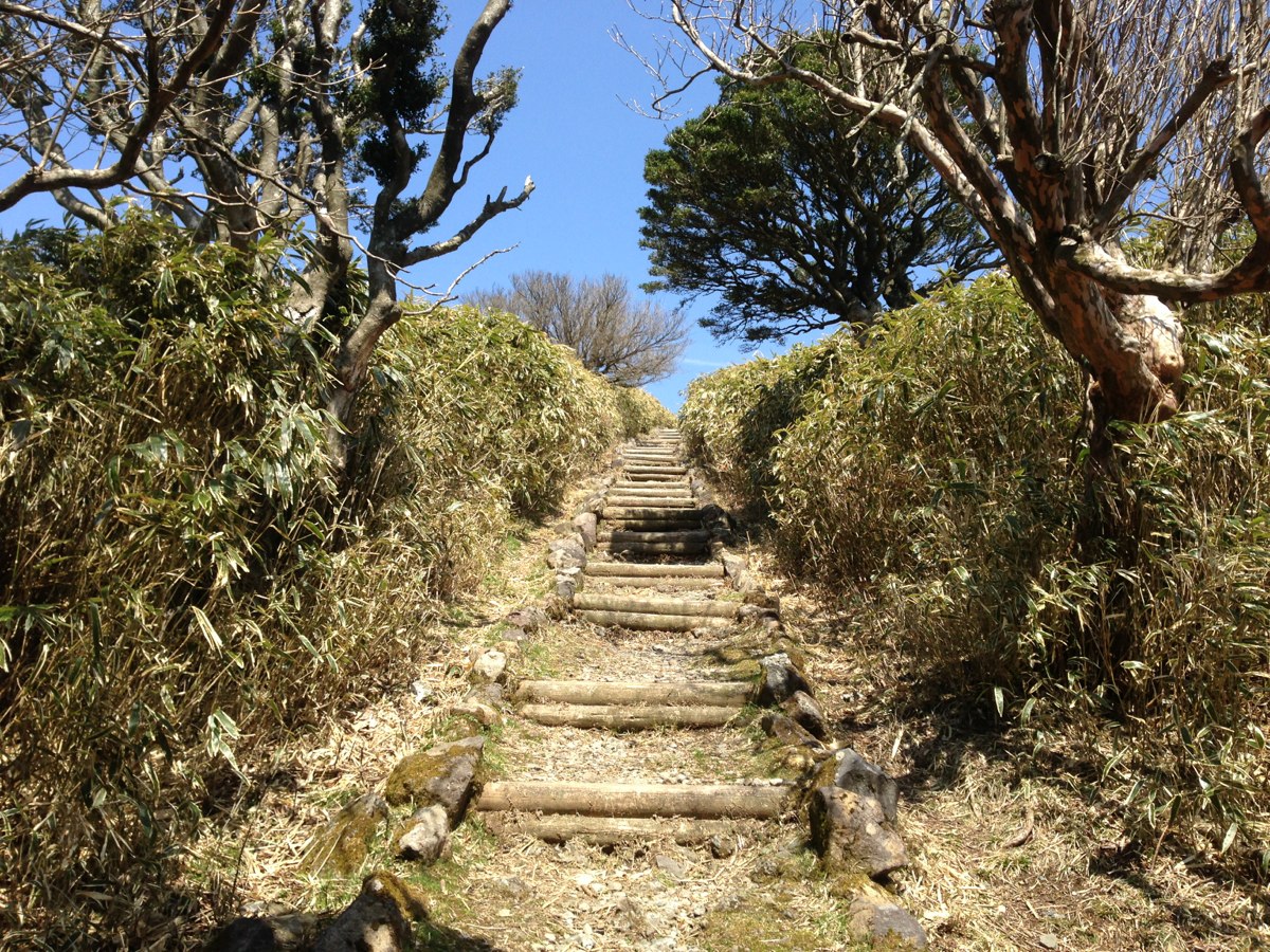 達磨山山頂への階段