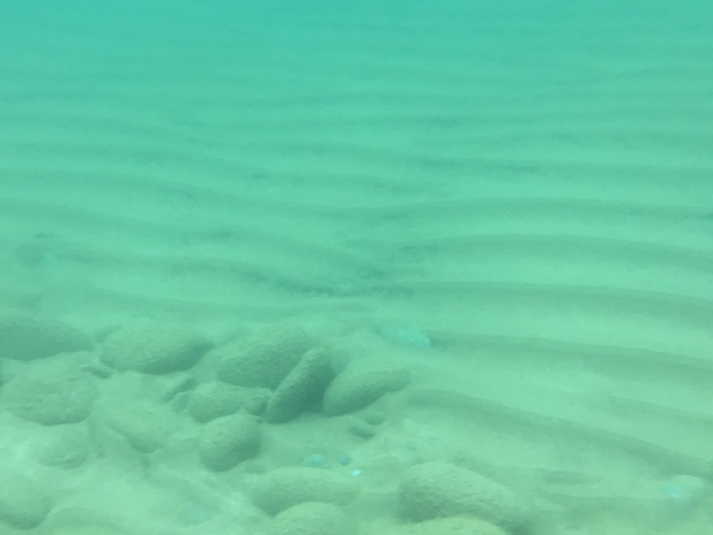 砂地の海底