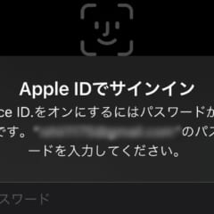 iPhoneのApple Storeアプリの決済をFace IDで実行する方法