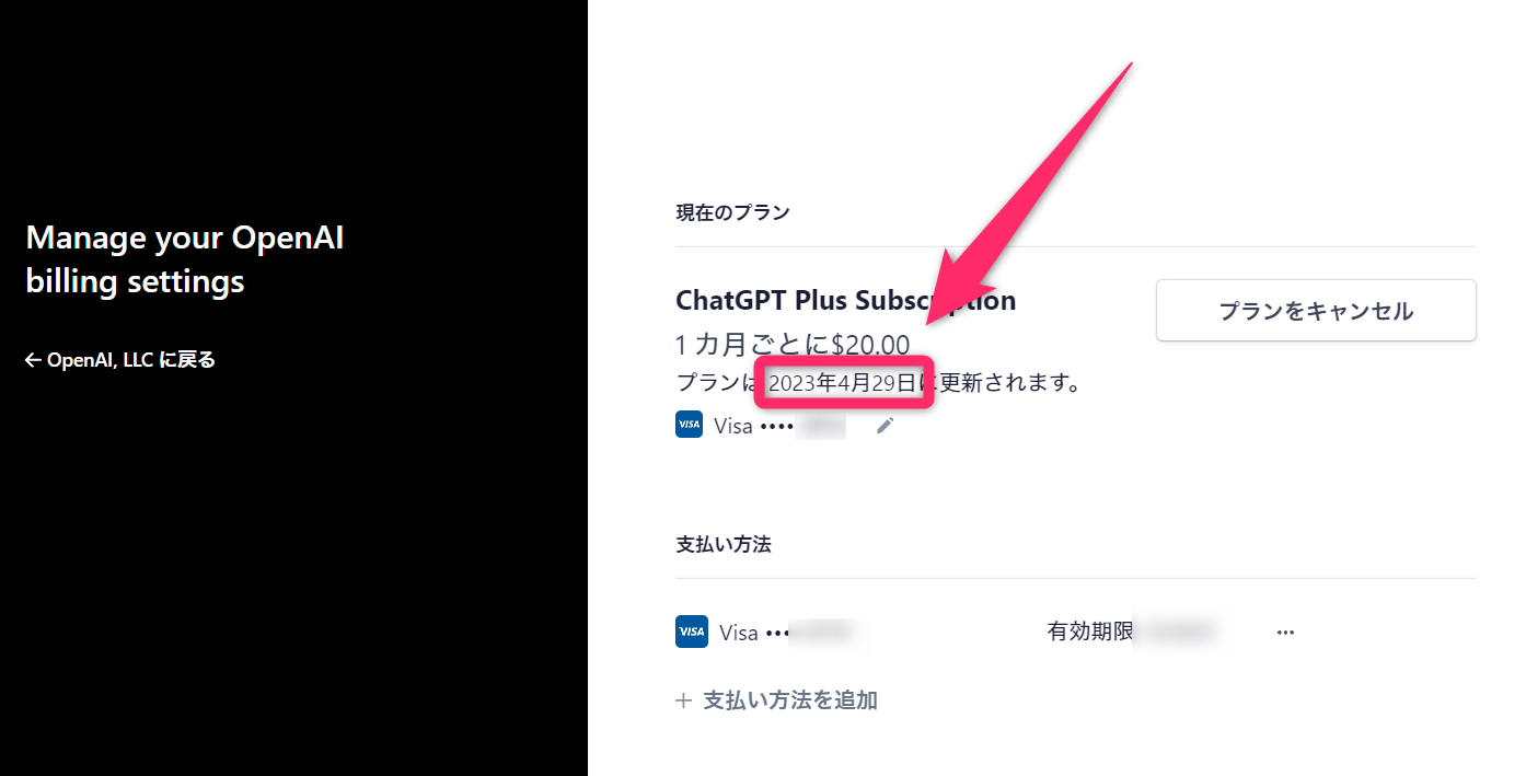 ChatGPT Plus Subscription